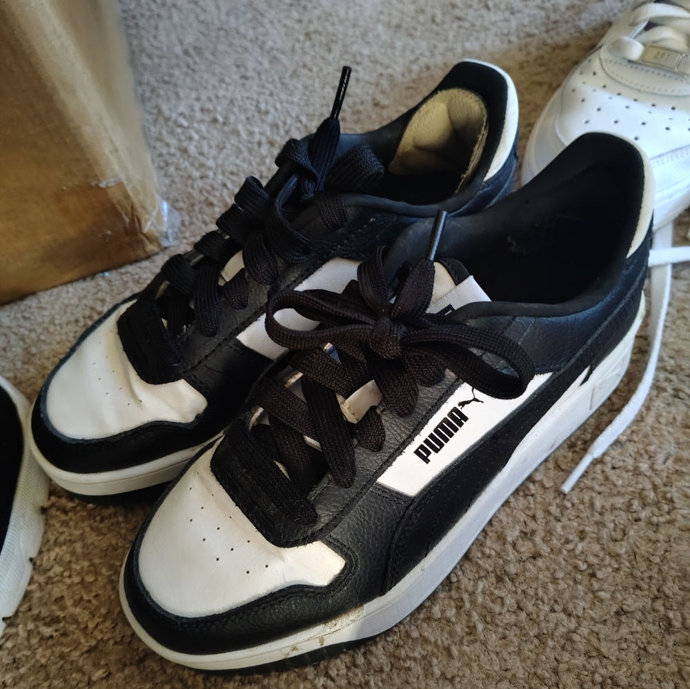 Pumas - Picture 2 of 3